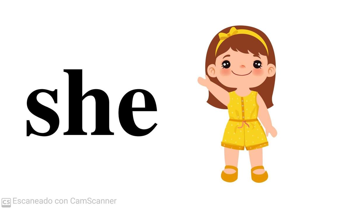 She Untuk Siapa? Penjelasan Lengkap Arti dan Penggunaan Kata She dalam Bahasa Inggris