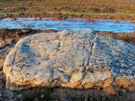 Gunung Jingshan China: Sejarah, Lokasi, dan Daya Tarik Ikonik di Jantung Beijing