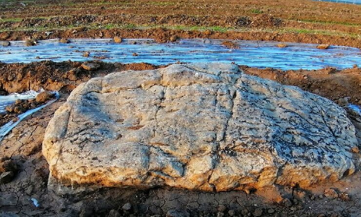 Gunung Jingshan China: Sejarah, Lokasi, dan Daya Tarik Ikonik di Jantung Beijing