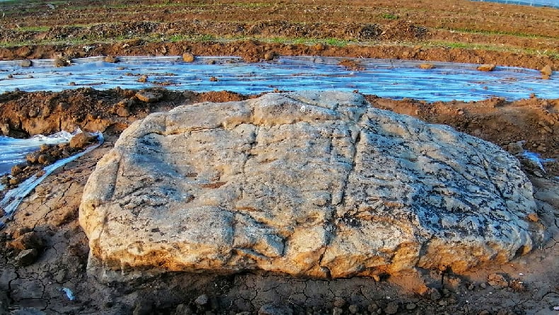 Gunung Jingshan China: Sejarah, Lokasi, dan Daya Tarik Ikonik di Jantung Beijing
