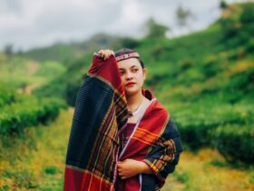 Boru Artinya: Makna, Asal Kata, dan Penggunaan Istilah Boru dalam Budaya Batak