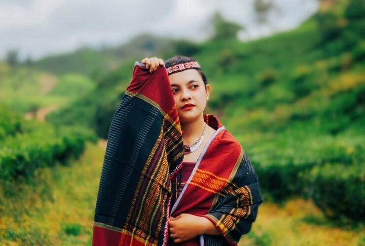 Boru Artinya: Makna, Asal Kata, dan Penggunaan Istilah Boru dalam Budaya Batak