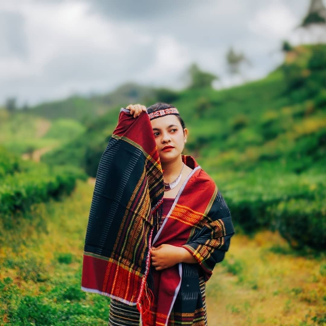 Boru Artinya: Makna, Asal Kata, dan Penggunaan Istilah Boru dalam Budaya Batak